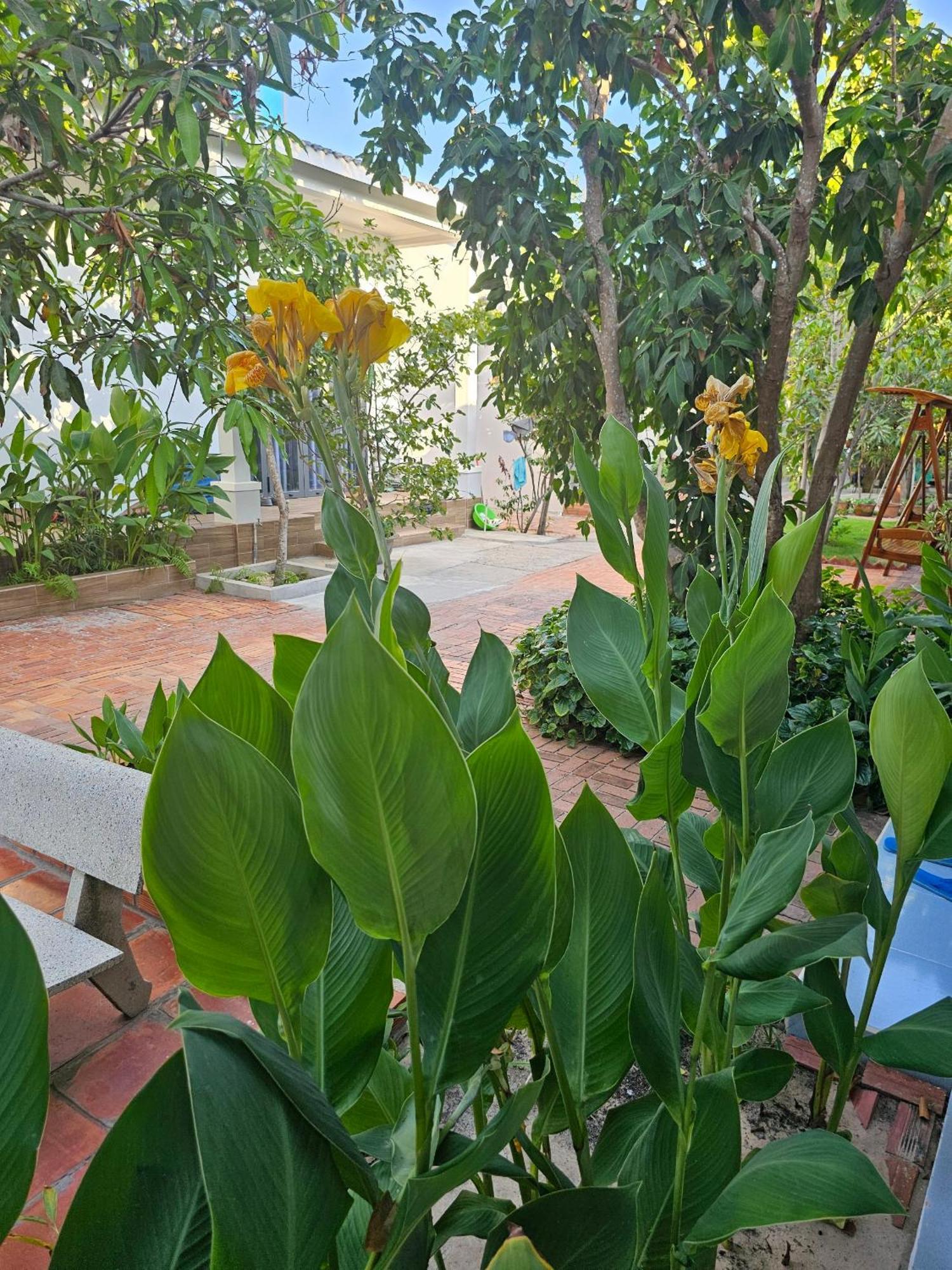Cay Phuong Guesthouse Mui Ne Exterior foto
